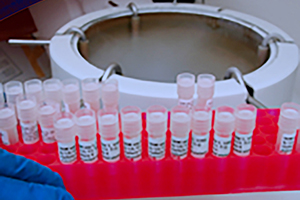 Pharmaceutical Labeling